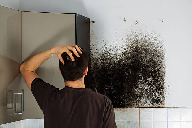Best Fast Mold Removal  in Grand Saline, TX